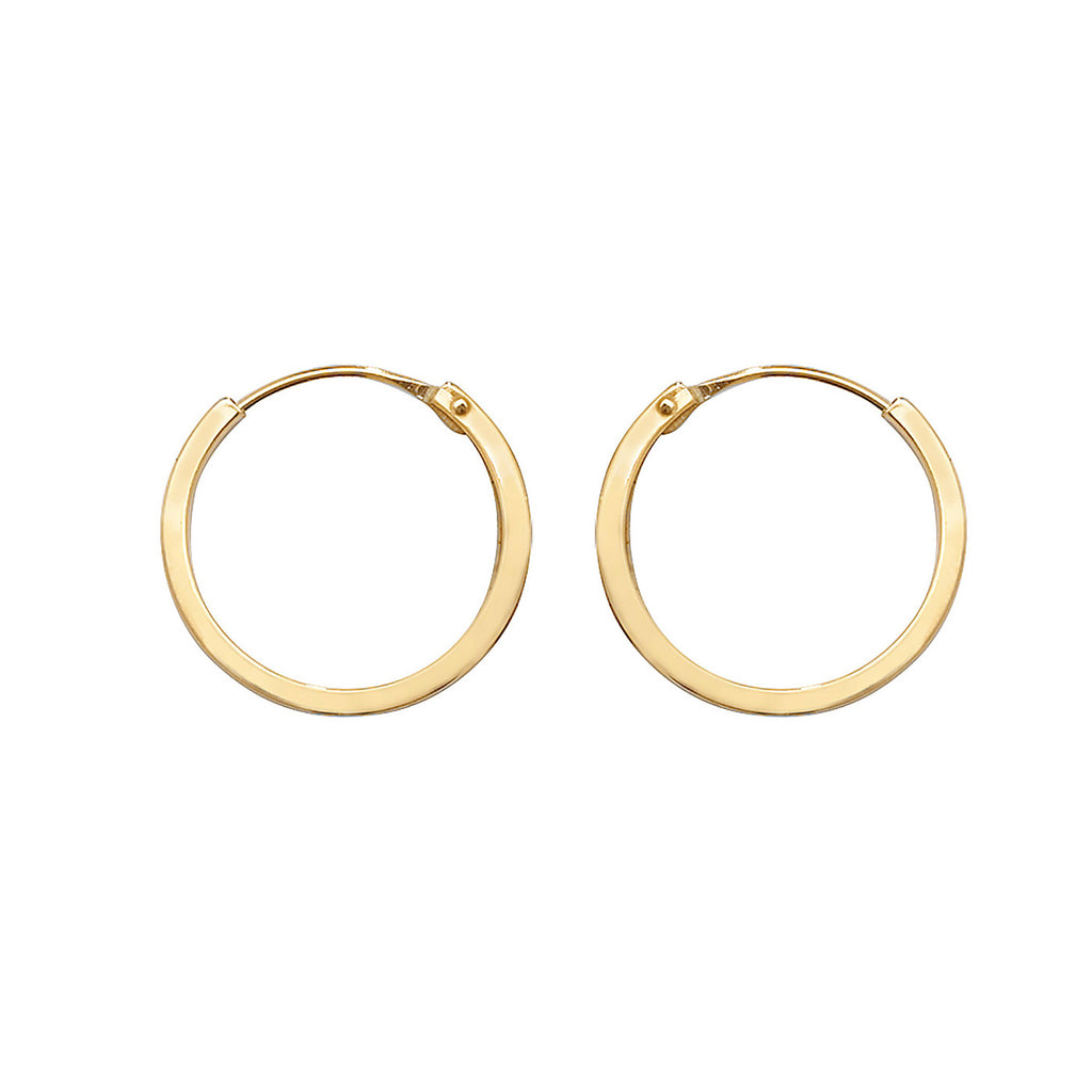 9ct Yellow Gold Earrings