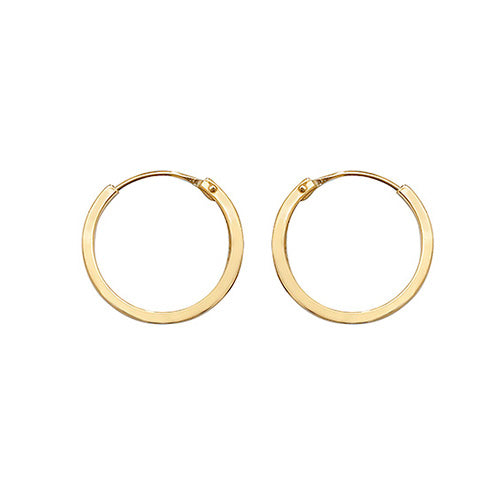 9ct Yellow Gold Earrings