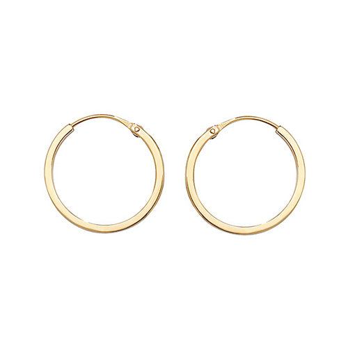 9ct Yellow Gold Earrings