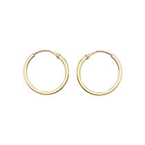9ct Yellow Gold Earrings