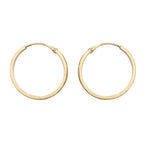 9ct Yellow Gold Earrings