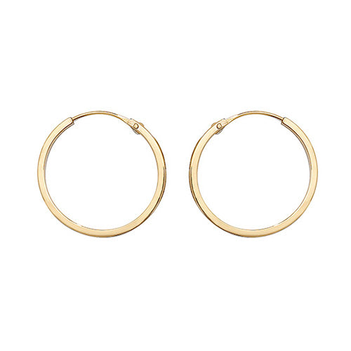 9ct Yellow Gold Earrings