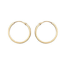9ct Yellow Gold Earrings