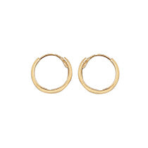 9ct Yellow Gold Earrings