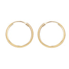 9ct Yellow Gold Earrings