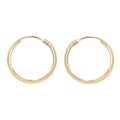 9ct Yellow Gold Earrings