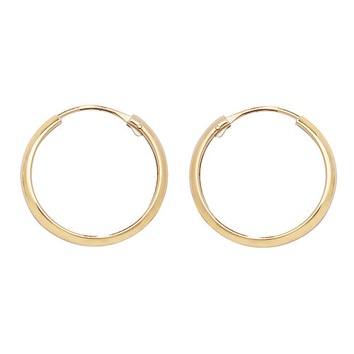 9ct Yellow Gold Earrings