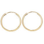 9ct Yellow Gold Earrings