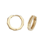 9ct Yellow Gold Earrings