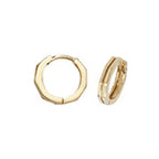 9ct Yellow Gold Earrings