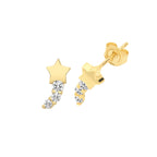 9ct Yellow Gold Earrings