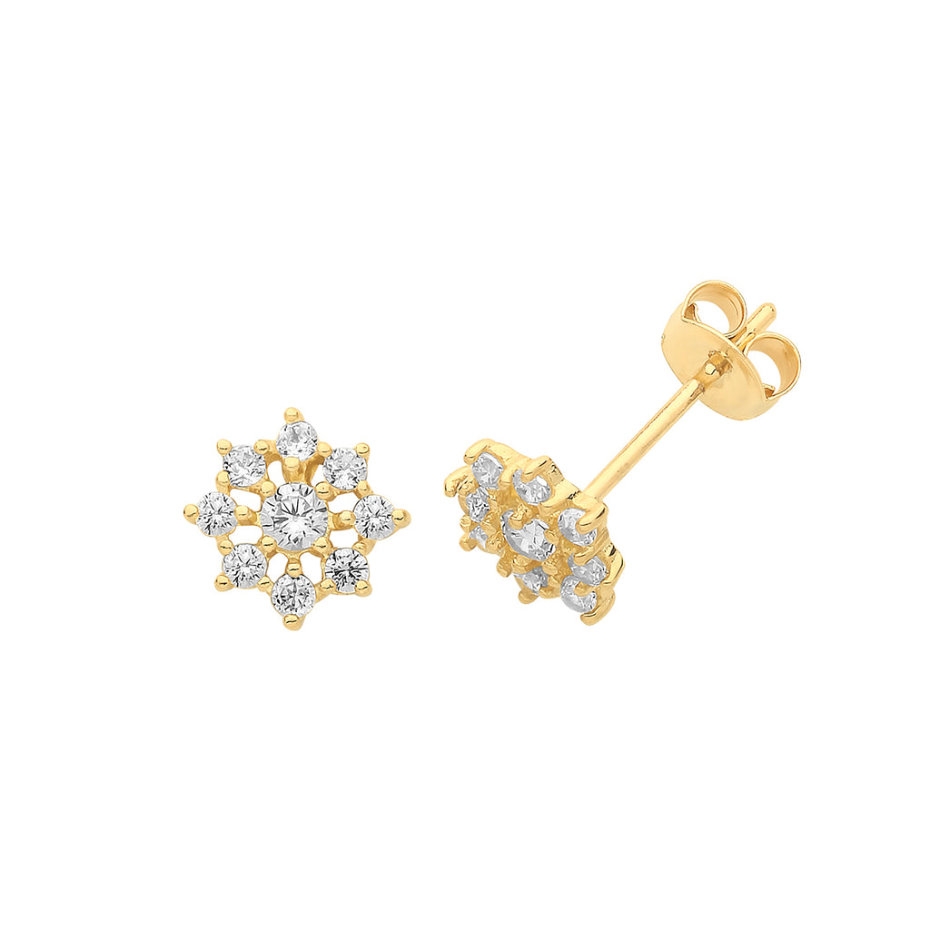 9ct Yellow Gold Earrings