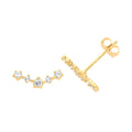 9ct Yellow Gold Earrings
