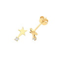 9ct Yellow Gold Earrings