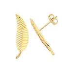9ct Yellow Gold Earrings