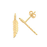 9ct Yellow Gold Earrings