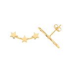 9ct Yellow Gold Earrings