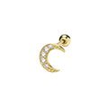 9ct Yellow Gold Earrings