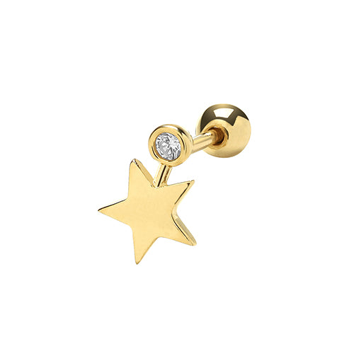 9ct Yellow Gold Earrings