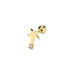9ct Yellow Gold Earrings