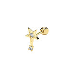 9ct Yellow Gold Earrings