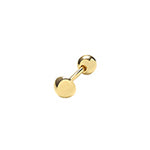 9ct Yellow Gold Earrings