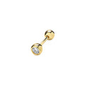 9ct Yellow Gold Earrings