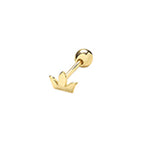9ct Yellow Gold Earrings