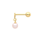 9ct Yellow Gold Earrings