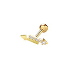 9ct Yellow Gold Earrings