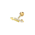 9ct Yellow Gold Earrings