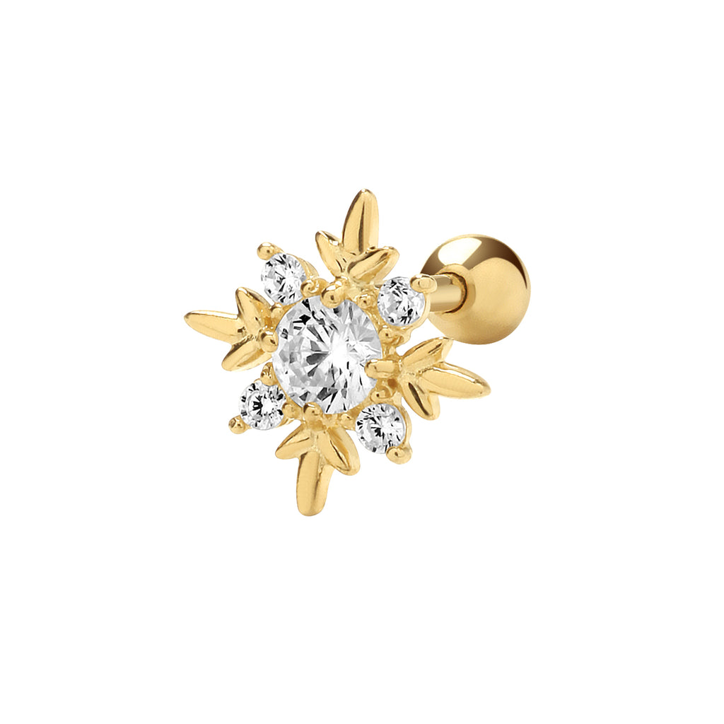 9ct Yellow Gold Earrings