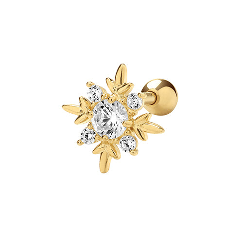 9ct Yellow Gold Earrings