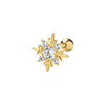 9ct Yellow Gold Earrings