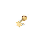 9ct Yellow Gold Earrings
