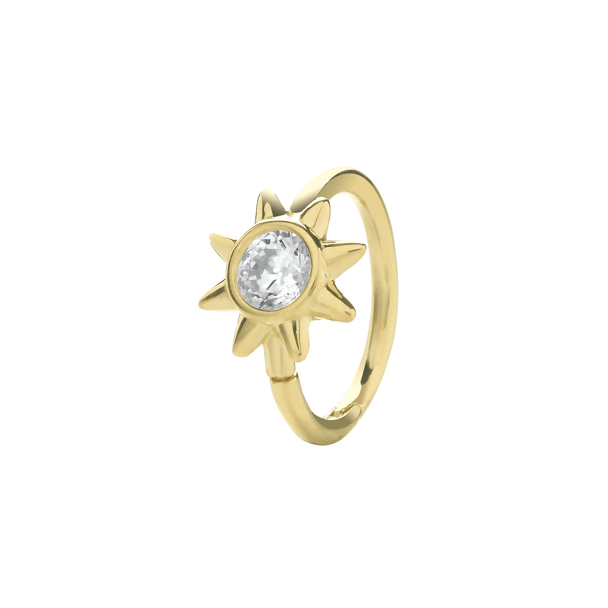 9ct Yellow Gold Earrings
