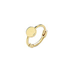 9ct Yellow Gold Earrings