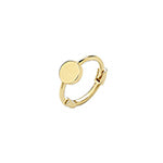 9ct Yellow Gold Earrings