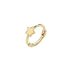 9ct Yellow Gold Earrings