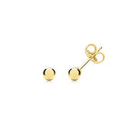 9ct Yellow Gold Earrings