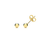 9ct Yellow Gold Earrings
