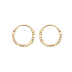9ct Yellow Gold Earrings