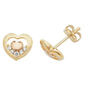 9ct Yellow Gold Earrings