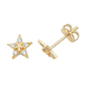 9ct Yellow Gold Earrings