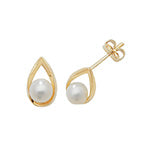 9ct Yellow Gold Earrings