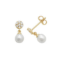9ct Yellow Gold Earrings