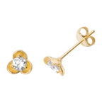 9ct Yellow Gold Earrings