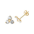 9ct Yellow Gold Earrings