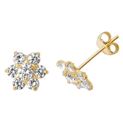 9ct Yellow Gold Earrings