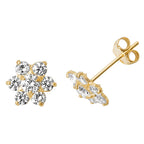 9ct Yellow Gold Earrings